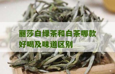 丽莎白绿茶和白茶哪款好喝及味道区别