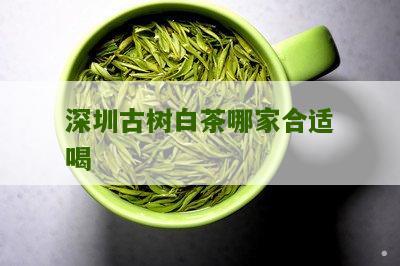 深圳古树白茶哪家合适喝