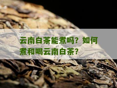 云南白茶能煮吗？如何煮和喝云南白茶？