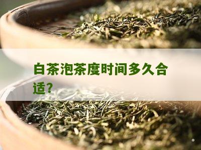 白茶泡茶度时间多久合适？