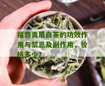 福鼎贡眉白茶的功效作用与禁忌及副作用，价格多少？