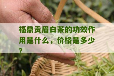 福鼎贡眉白茶的功效作用是什么，价格是多少？