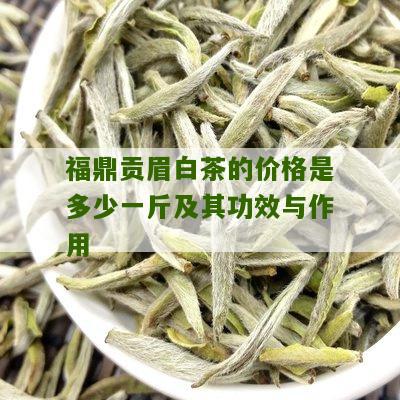 福鼎贡眉白茶的价格是多少一斤及其功效与作用