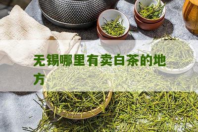 无锡哪里有卖白茶的地方