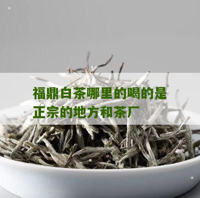 福鼎白茶哪里的喝的是正宗的地方和茶厂