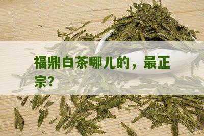 福鼎白茶哪儿的，最正宗？