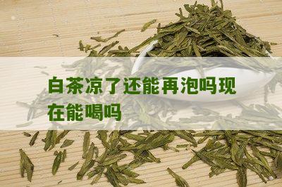 白茶凉了还能再泡吗现在能喝吗