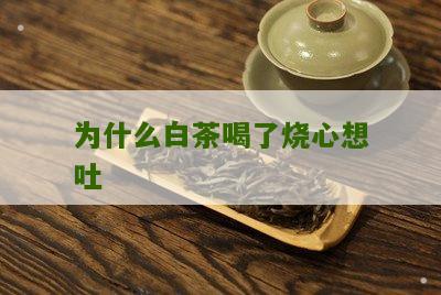 为什么白茶喝了烧心想吐