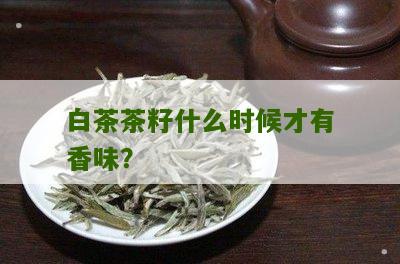 白茶茶籽什么时候才有香味？