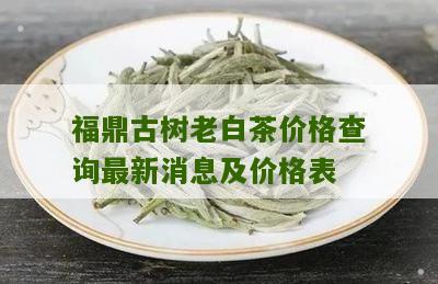 福鼎古树老白茶价格查询最新消息及价格表