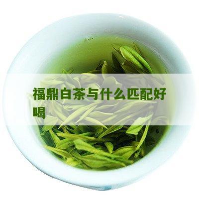 福鼎白茶与什么匹配好喝