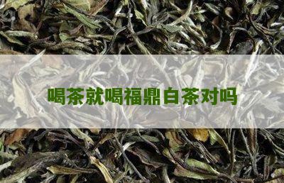 喝茶就喝福鼎白茶对吗