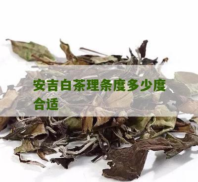 安吉白茶理条度多少度合适