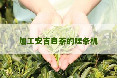 加工安吉白茶的理条机