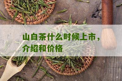 山白茶什么时候上市，介绍和价格