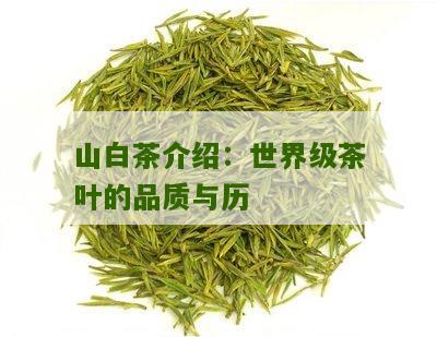 山白茶介绍：世界级茶叶的品质与历