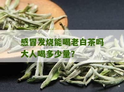 感冒发烧能喝老白茶吗大人喝多少量？