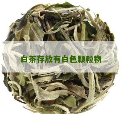 白茶存放有白色颗粒物