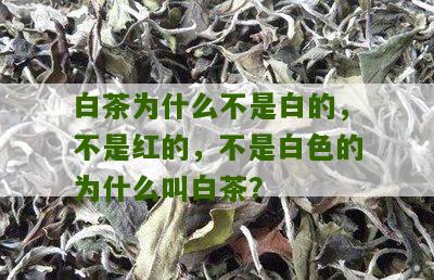 白茶为什么不是白的，不是红的，不是白色的为什么叫白茶？