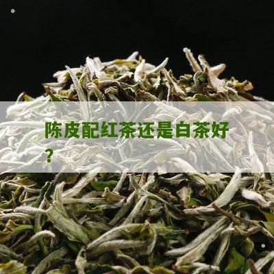 陈皮配红茶还是白茶好？