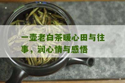 一壶老白茶暖心田与往事，润心情与感悟