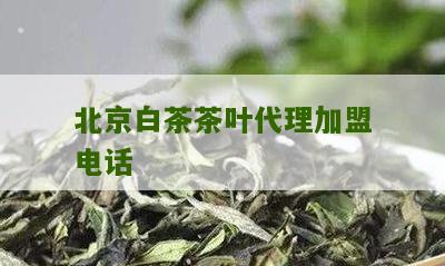 北京白茶茶叶代理加盟电话