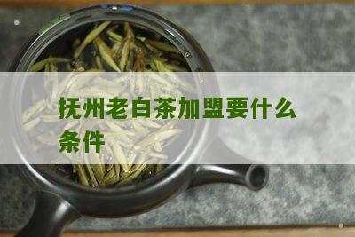 抚州老白茶加盟要什么条件