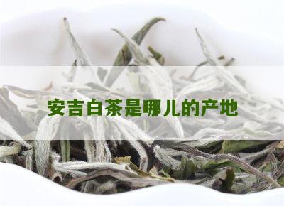 安吉白茶是哪儿的产地