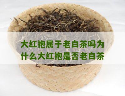 大红袍属于老白茶吗为什么大红袍是否老白茶