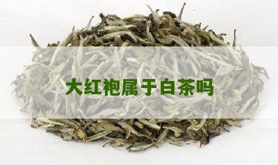 大红袍属于白茶吗