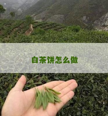 白茶饼怎么做