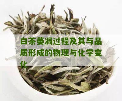 白茶萎凋过程及其与品质形成的物理与化学变化