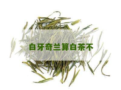 白牙奇兰算白茶不