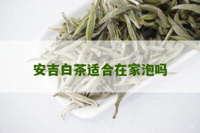 安吉白茶适合在家泡吗