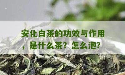 安化白茶的功效与作用，是什么茶？怎么泡？