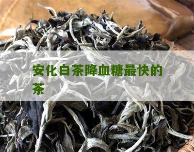 安化白茶降血糖最快的茶