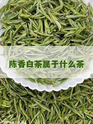 陈香白茶属于什么茶