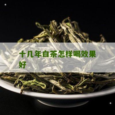 十几年白茶怎样喝效果好