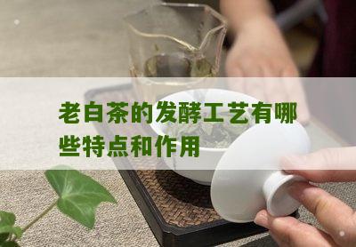 老白茶的发酵工艺有哪些特点和作用