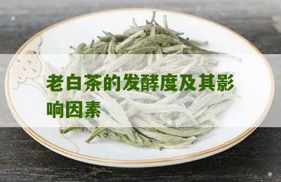 老白茶的发酵度及其影响因素