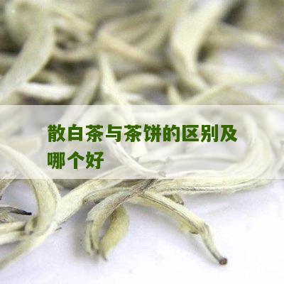 散白茶与茶饼的区别及哪个好