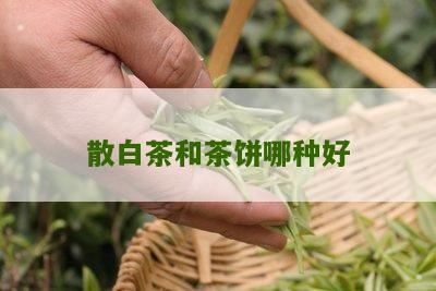 散白茶和茶饼哪种好