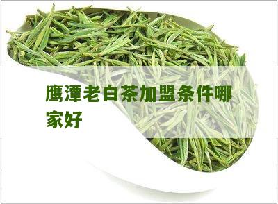 鹰潭老白茶加盟条件哪家好