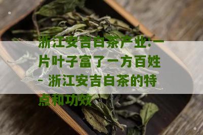 浙江安吉白茶产业:一片叶子富了一方百姓 - 浙江安吉白茶的特点和功效