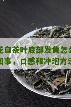 花白茶叶底部发黄怎么回事，口感和冲泡方法