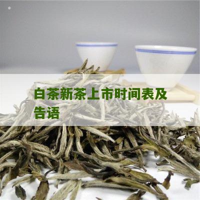 白茶新茶上市时间表及告语