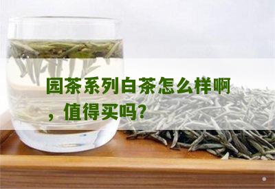 园茶系列白茶怎么样啊，值得买吗？