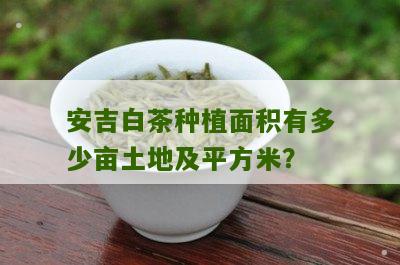 安吉白茶种植面积有多少亩土地及平方米？