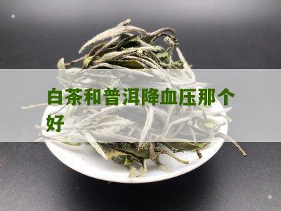 白茶和普洱降血压那个好