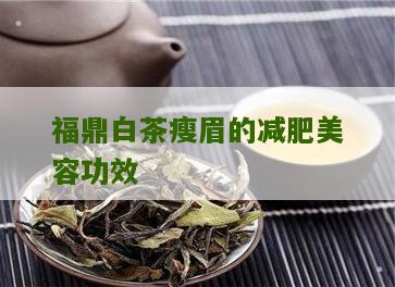 福鼎白茶瘦眉的减肥美容功效